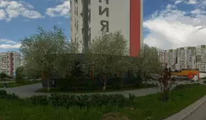 Фотография Основа 0