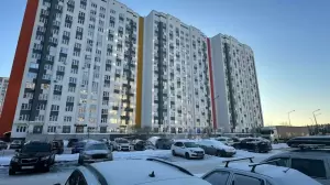 Фотография Основа 2